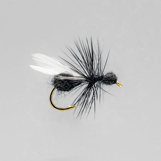 NEPTUNE FLIES - Flying Ant