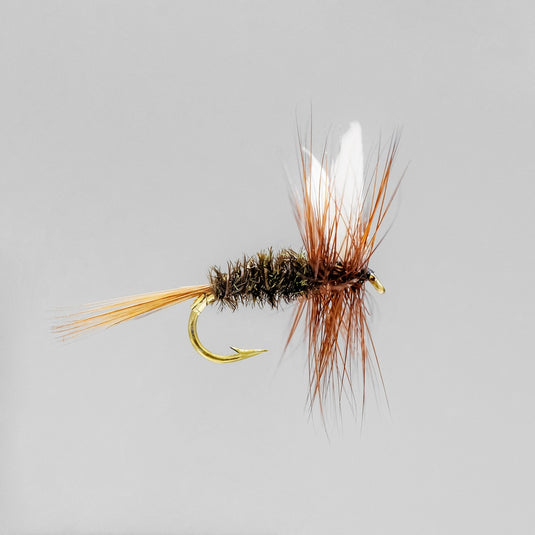 Coachman