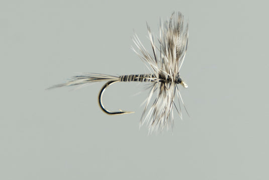Mosquito