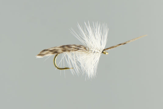 NEPTUNE FLIES - Cream Tent Caddis