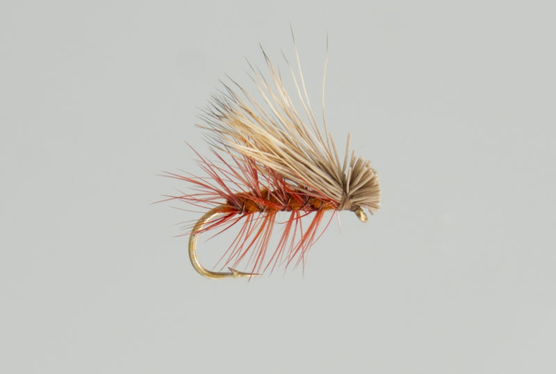 Load image into Gallery viewer, NEPTUNE FLIES - Elk Hair Caddis
