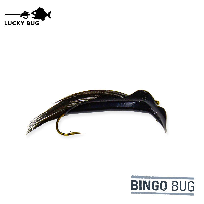 Load image into Gallery viewer, Lucky Bug Bingo Bug
