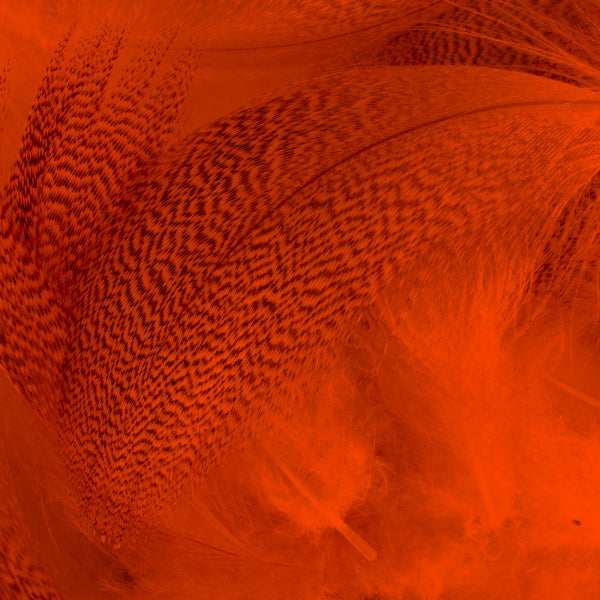 Load image into Gallery viewer, Shor Mallard Flank
