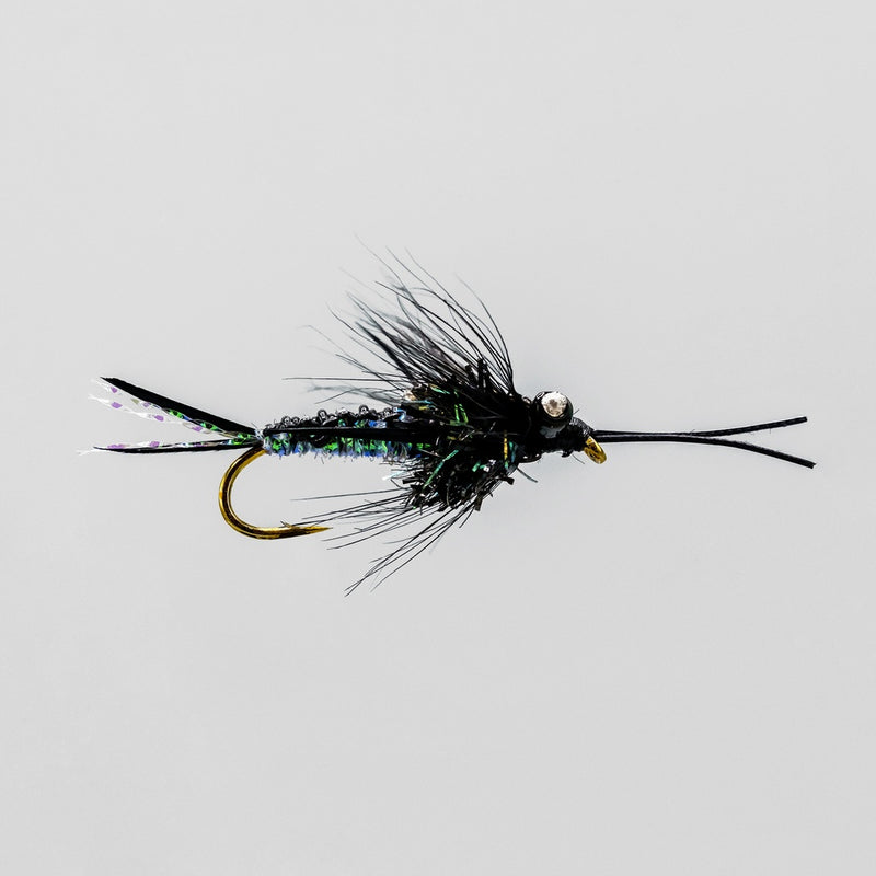 Load image into Gallery viewer, NEPTUNE FLIES - Black Braided Stone Fly Nymphs
