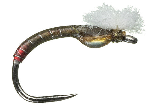 Rowley's Clearwater Pupa