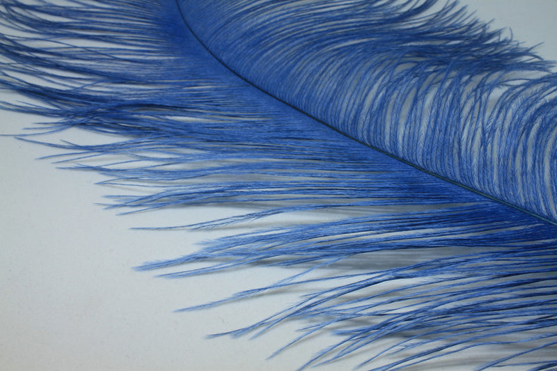 Load image into Gallery viewer, Fly Angler Ostrich Large Spey Plumes
