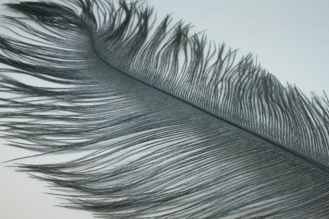 Fly Angler Ostrich Large Spey Plumes – TW Outdoors