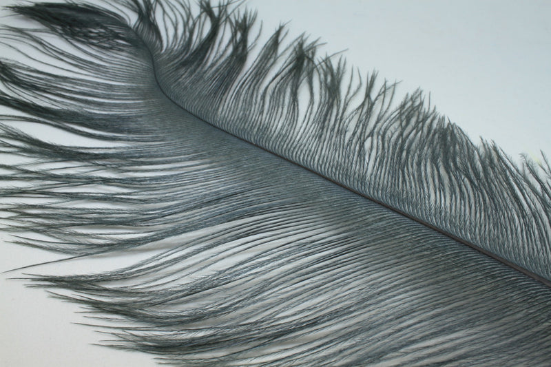Load image into Gallery viewer, Fly Angler Ostrich Large Spey Plumes

