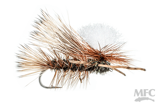 MFC Swisher's PMX Stonefly