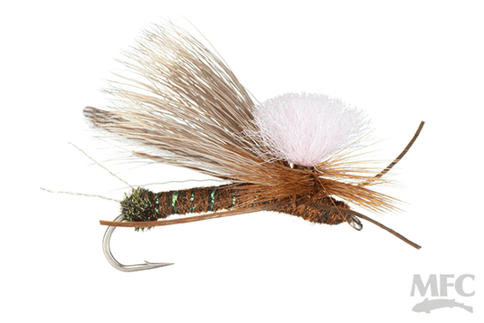 MFC Gould's Half-Down Salmonfly