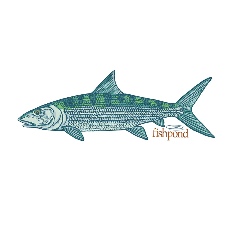Load image into Gallery viewer, Fishpond Stickers
