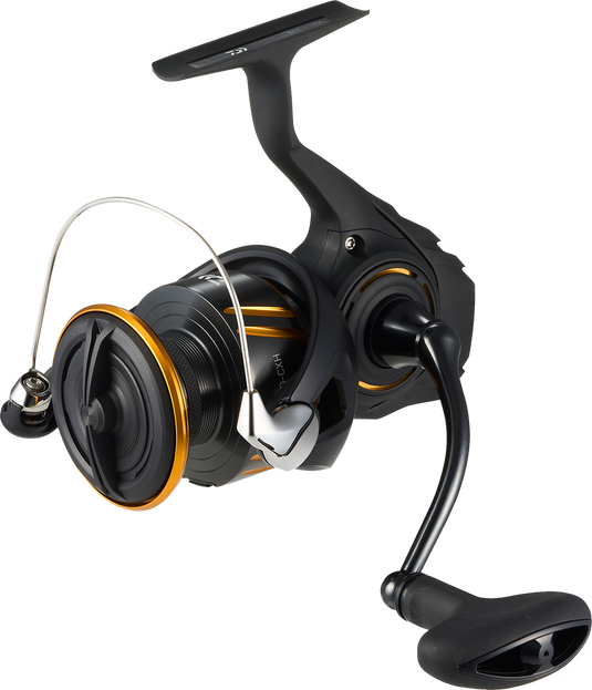 DAIWA BG LT SPINNING REEL