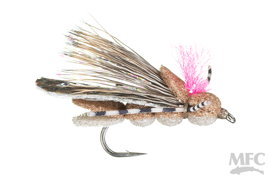MFC Juan's Hopper Juan