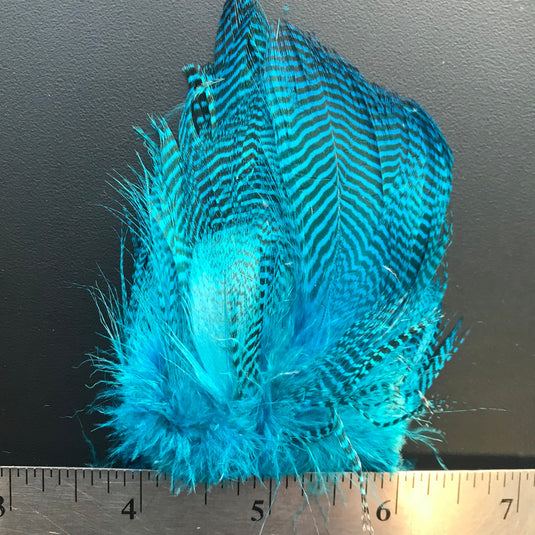 Mallard Barred Flank