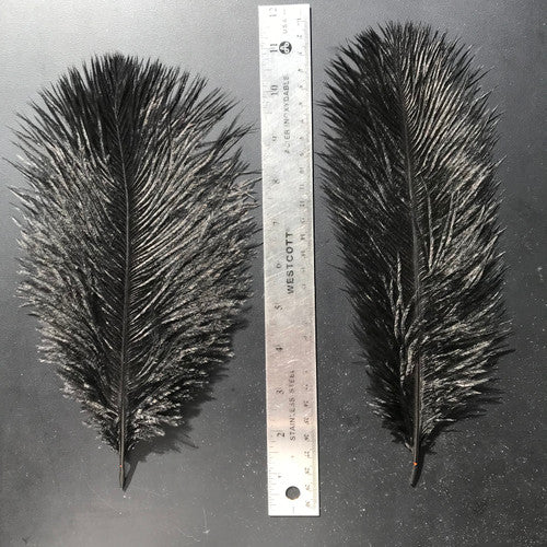 OfishL Ostrich Plumes - Medium