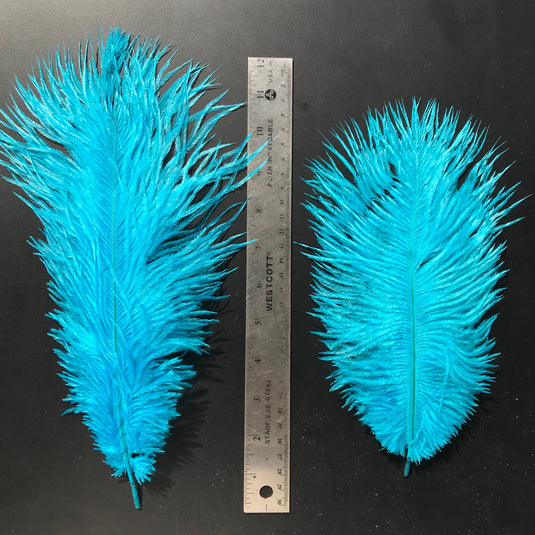 OfishL Ostrich Plumes - Medium