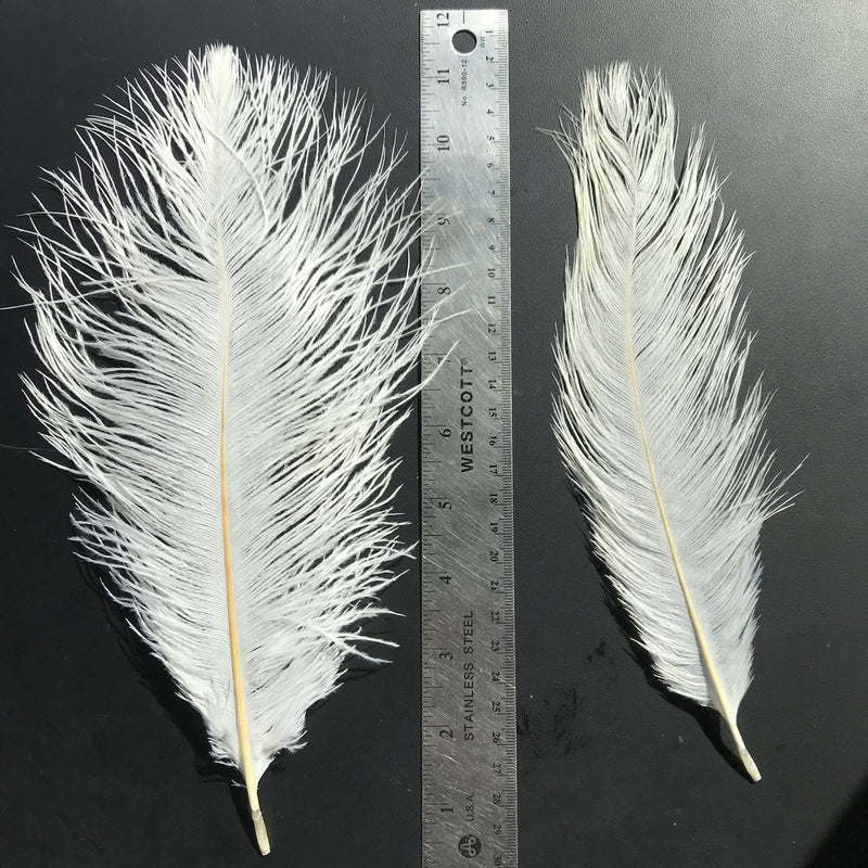 Load image into Gallery viewer, Fly Angler Ostrich Spey Plumes - Medium
