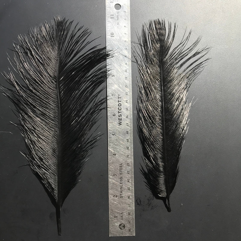 Load image into Gallery viewer, Fly Angler Ostrich Spey Plumes - Medium
