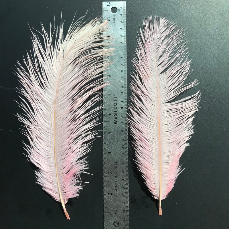 Load image into Gallery viewer, Fly Angler Ostrich Spey Plumes - Medium
