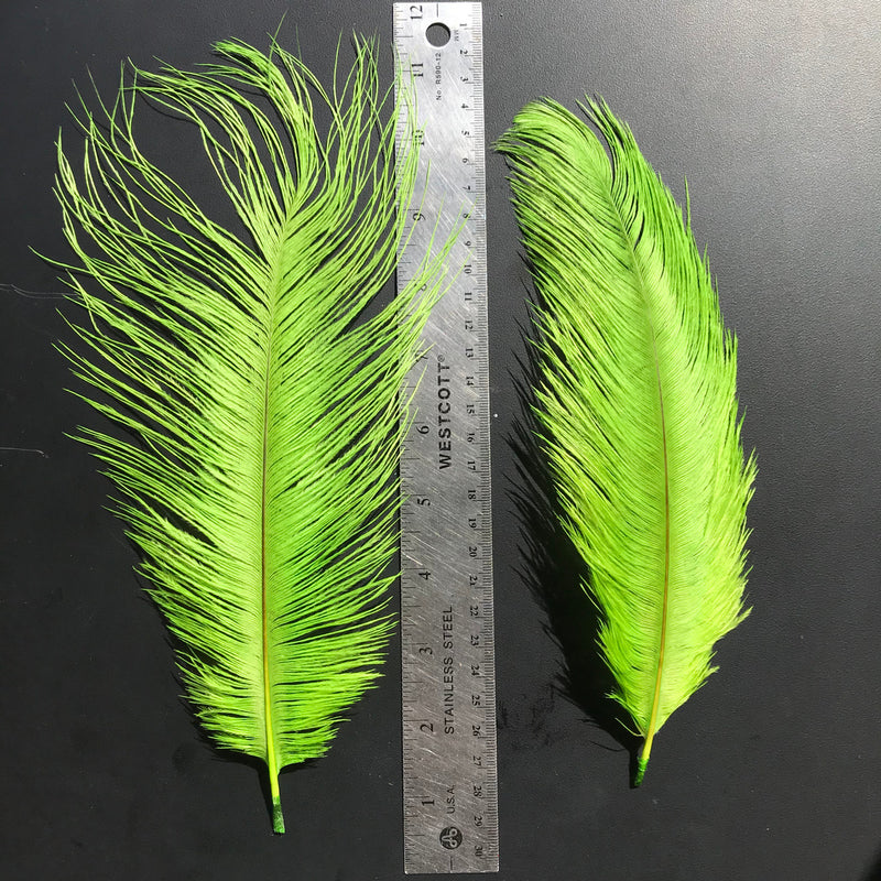 Load image into Gallery viewer, Fly Angler Ostrich Spey Plumes - Medium
