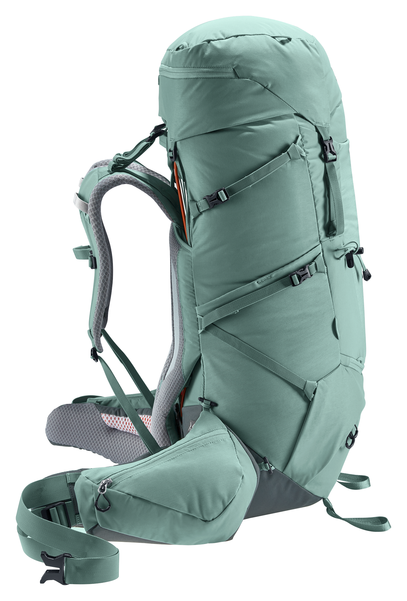 Deuter 55 hot sale