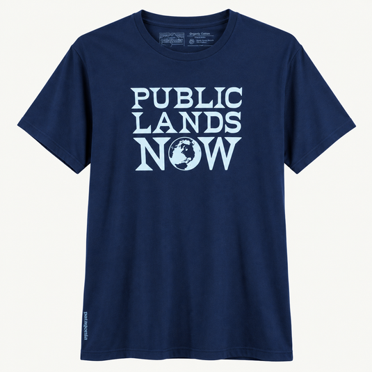 Patagonia Men's Public Lands Now Organic T-Shirt