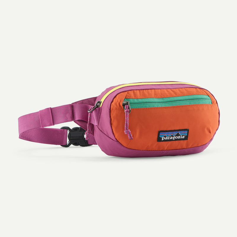 Load image into Gallery viewer, Patagonia Terravia Mini Hip Pack 1L
