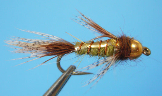 Gold Bead Flashback Caddis