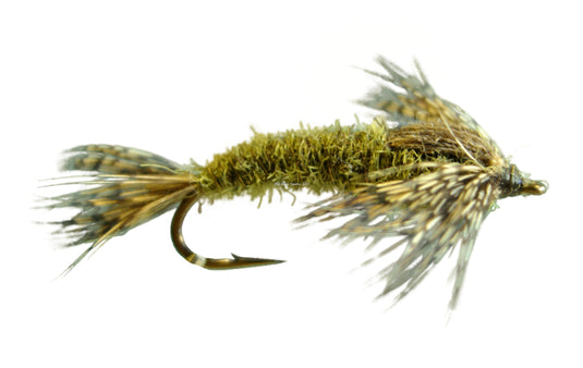 Green Drake Nymph