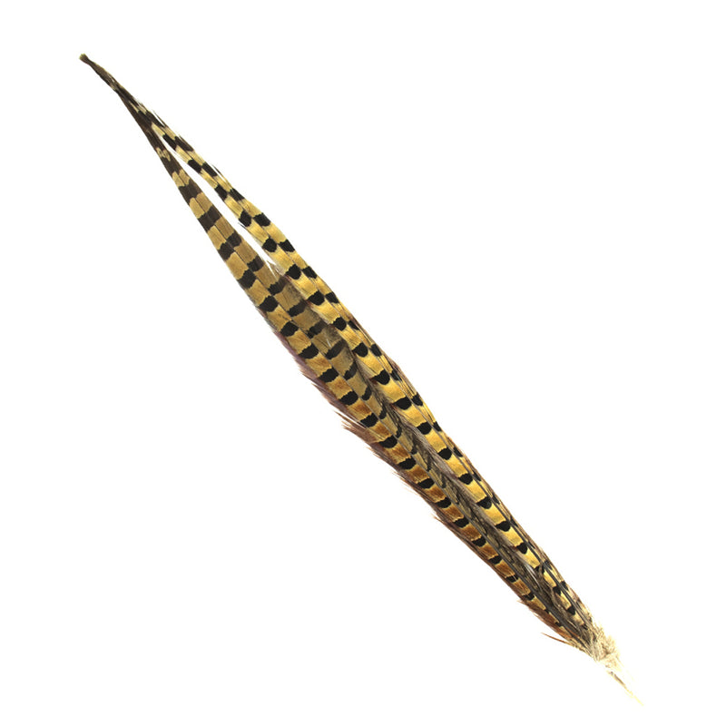 Load image into Gallery viewer, Shor Ring-Necked Pheasant Tail - 18-20in
