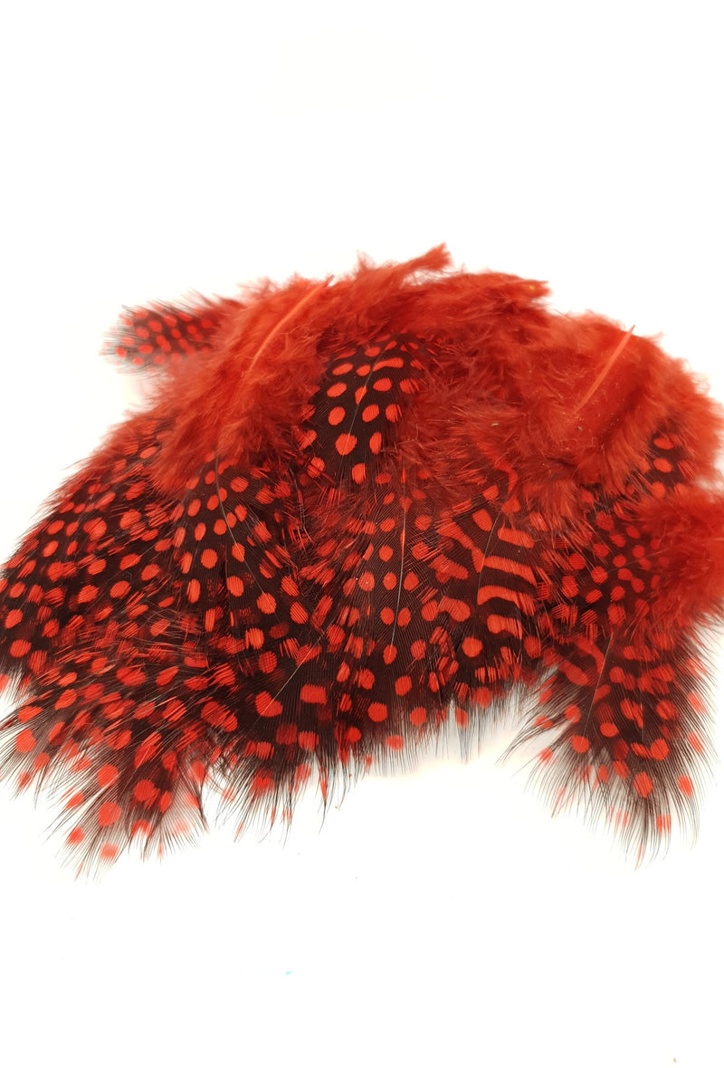 Load image into Gallery viewer, Shor Strung Guineafowl

