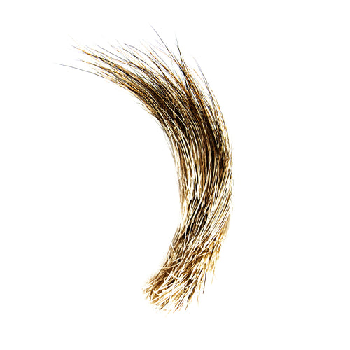 Shor Moose Mane   (Shipping in Canada Only)