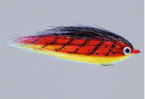 Rainy's CF Baitfish