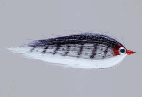 Rainy's CF Baitfish