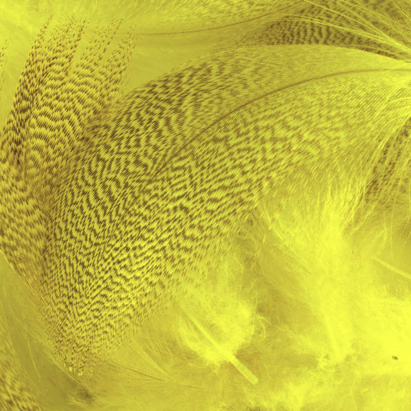 Load image into Gallery viewer, Shor Mallard Flank
