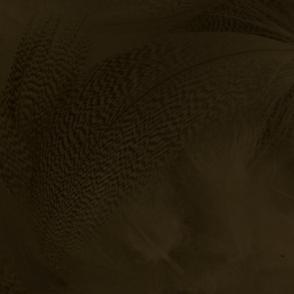 Load image into Gallery viewer, Shor Mallard Flank
