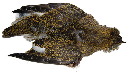 Superfly Koklass Pheasant Skin