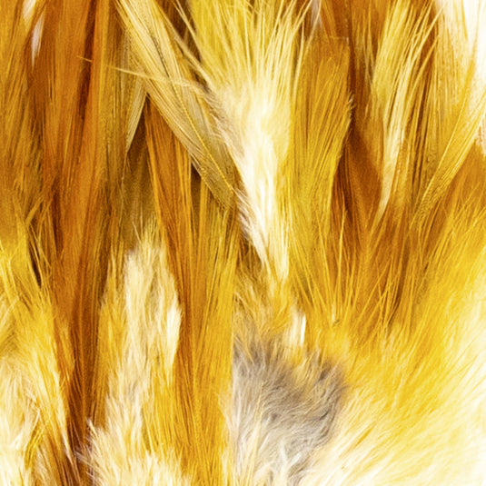 Shor Hackle 3"-5"