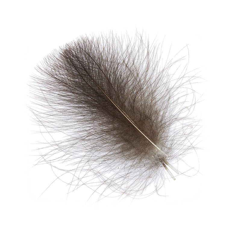 Load image into Gallery viewer, Shor Duck Oil Gland Feathers (CDC) [Shipping in Canada only]
