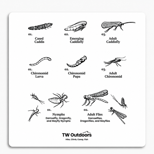 TW Outdoors Stickers - Insect