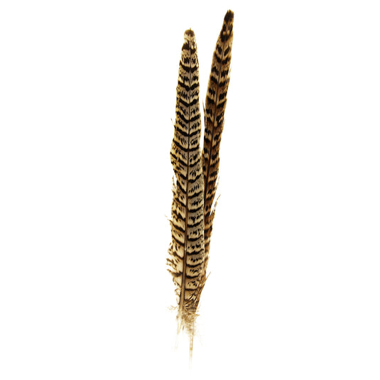 Shor Ring-Necked Pheasant Tail - 18-20in