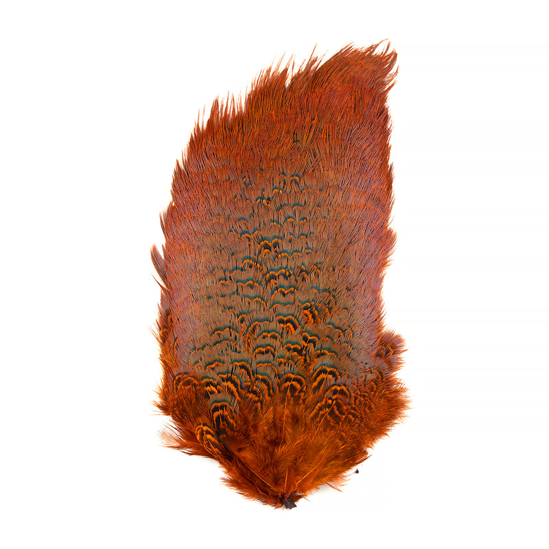 Load image into Gallery viewer, Shor Ring-Necked Pheasant Rump (Shipping in Canada Only)
