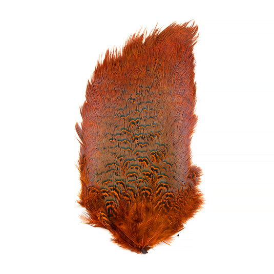 Shor Ring-Necked Pheasant Rump (Shipping in Canada Only)