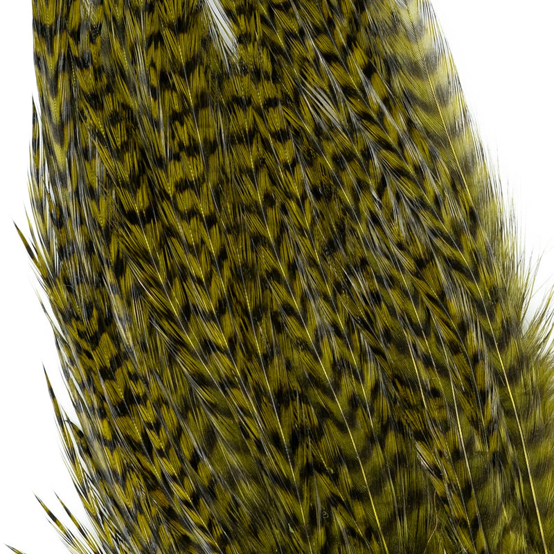 Load image into Gallery viewer, Shor Genetic Rooster Mini-Pack
