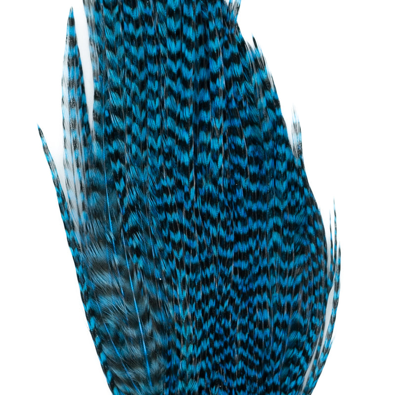 Load image into Gallery viewer, Shor Genetic Rooster Mini-Pack
