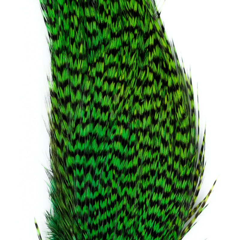Load image into Gallery viewer, Shor Genetic Rooster Mini-Pack
