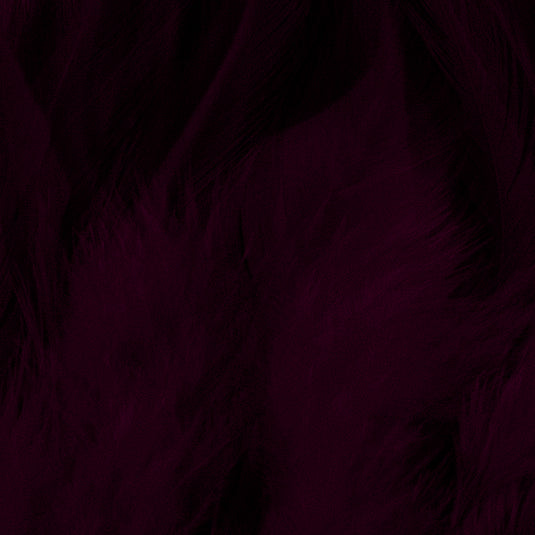 Shor Hackle 3