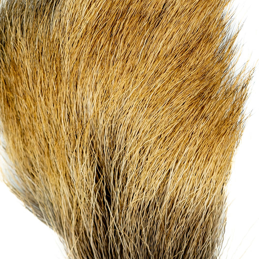 Shor Elk Body Hair  (Shipping in Canada Only)