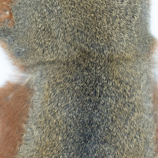 Shor Pine Squirrel Skin