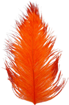 Spirit River Tip Dyed Ostrich